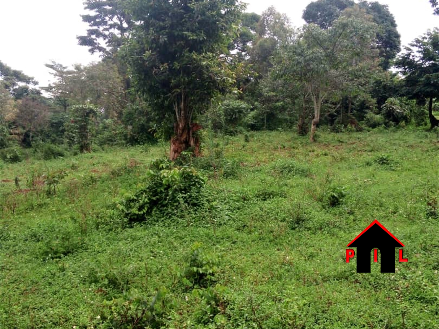 Agricultural Land for sale in Butenga Masaka