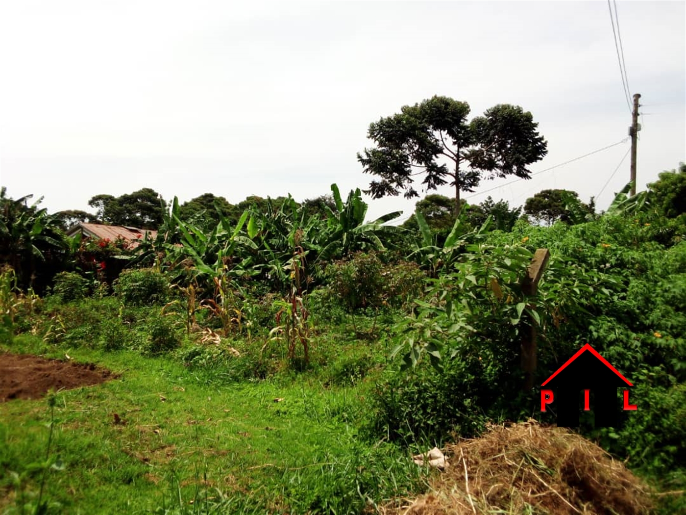 Residential Land for sale in Nkumba Wakiso