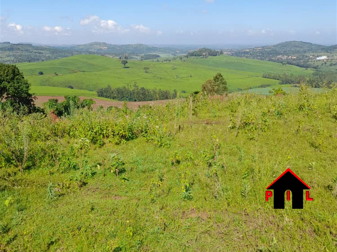 Commercial Land for sale in Lugazi Buyikwe