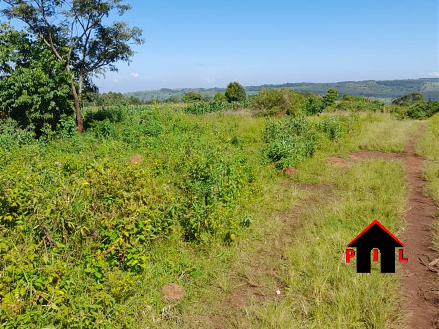 Commercial Land for sale in Lugazi Buyikwe