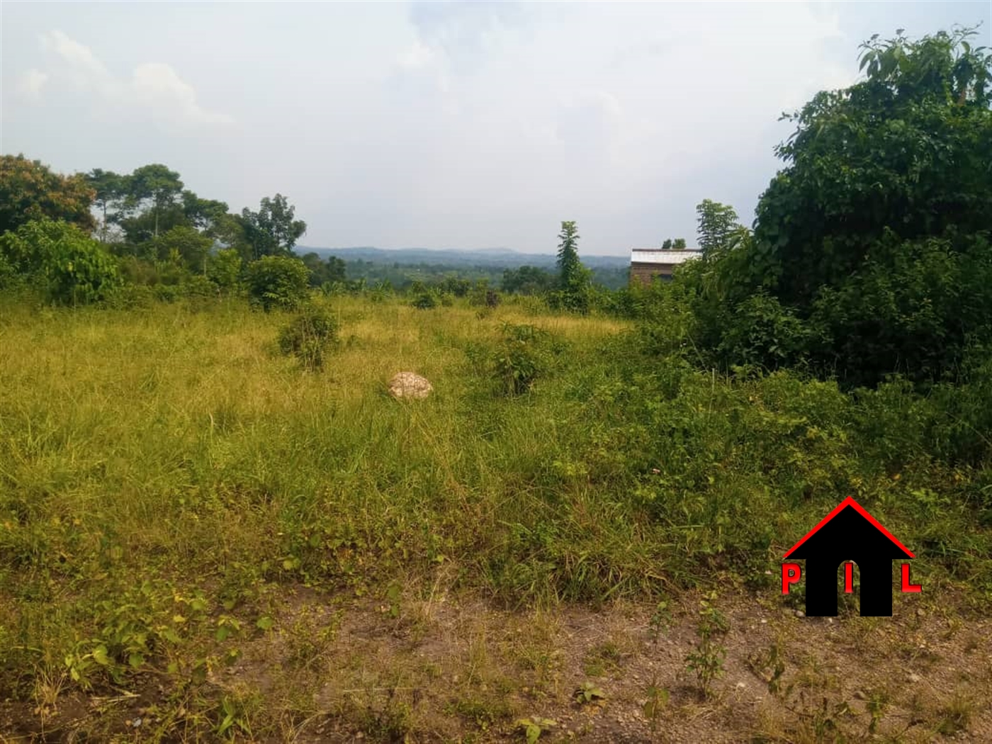 Agricultural Land for sale in Kilolo Wakiso