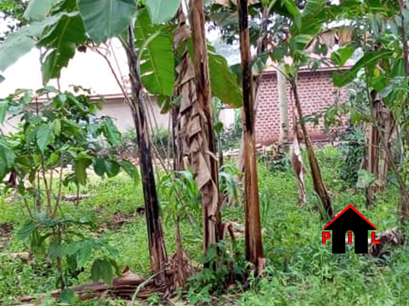 Residential Land for sale in Ssanga Wakiso