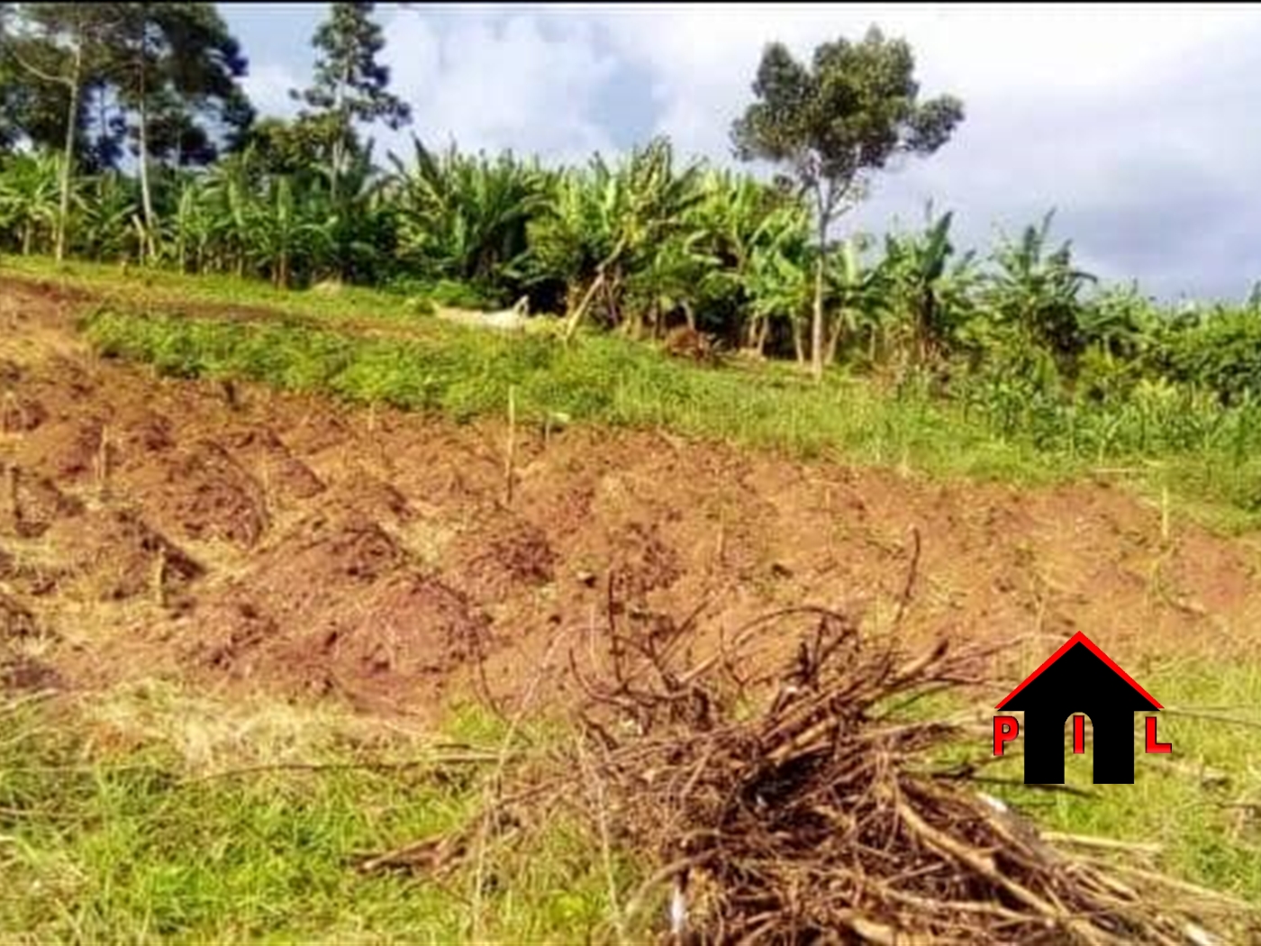 Agricultural Land for sale in Ssi Buyikwe