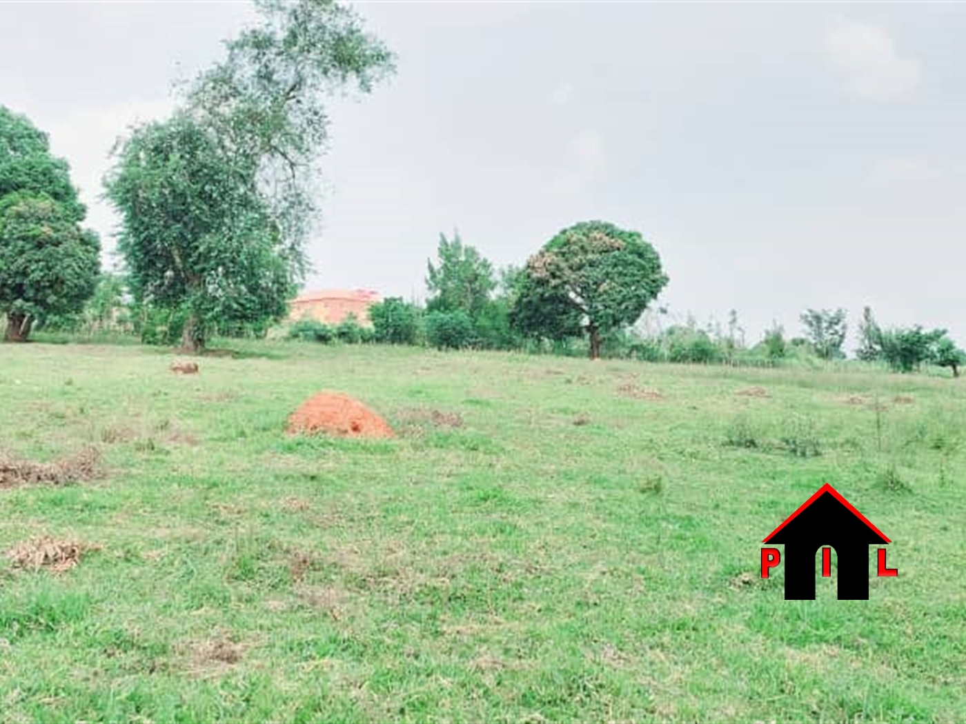 Commercial Land for sale in Namusela Wakiso
