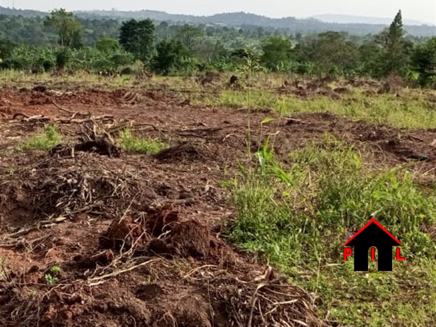 Agricultural Land for sale in Kisoma Rakai