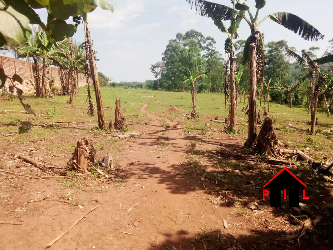 Commercial Land for sale in Ssala Wakiso