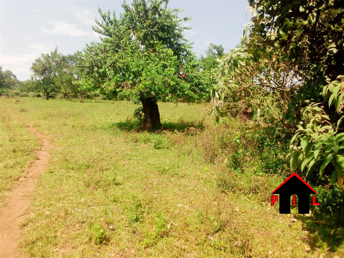 Commercial Land for sale in Ssala Wakiso