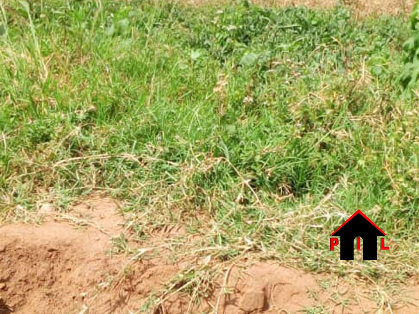 Residential Land for sale in Rwarire Ntungamo