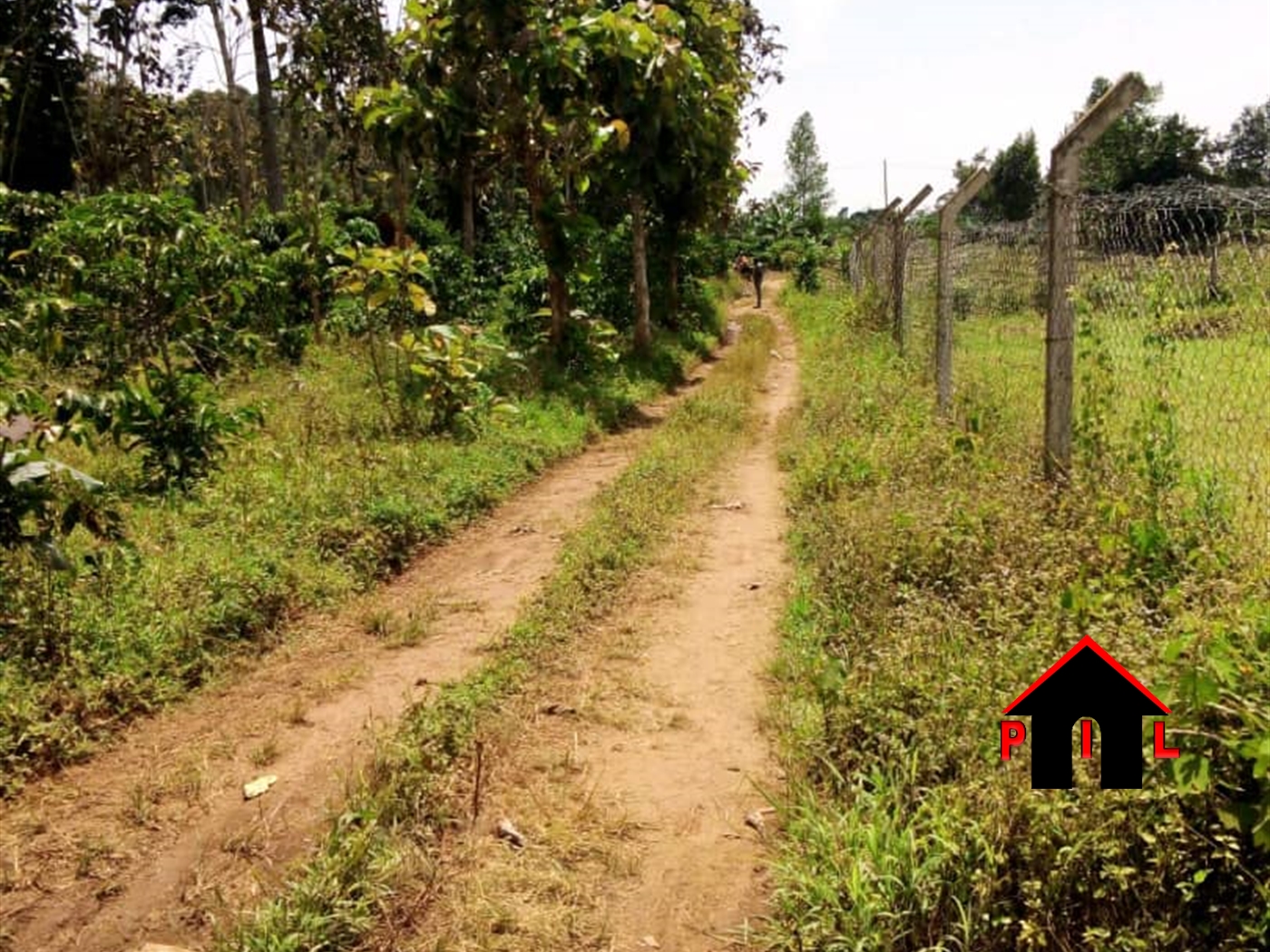 Commercial Land for sale in Bubebele Wakiso
