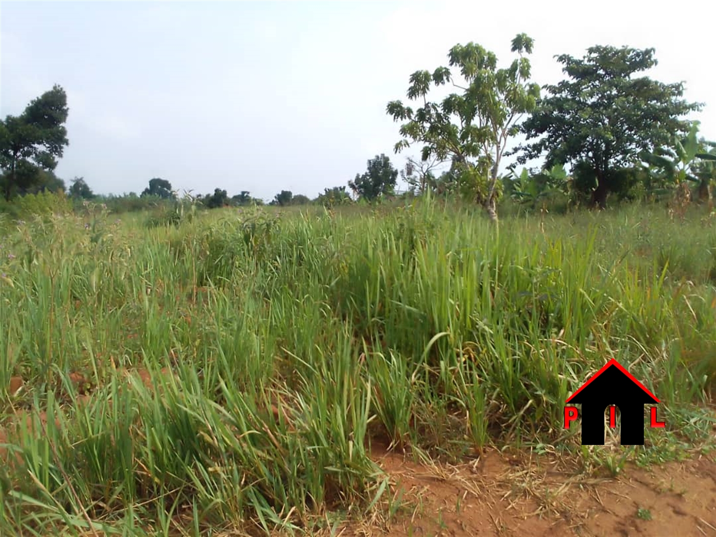 Agricultural Land for sale in Bulesa Gomba