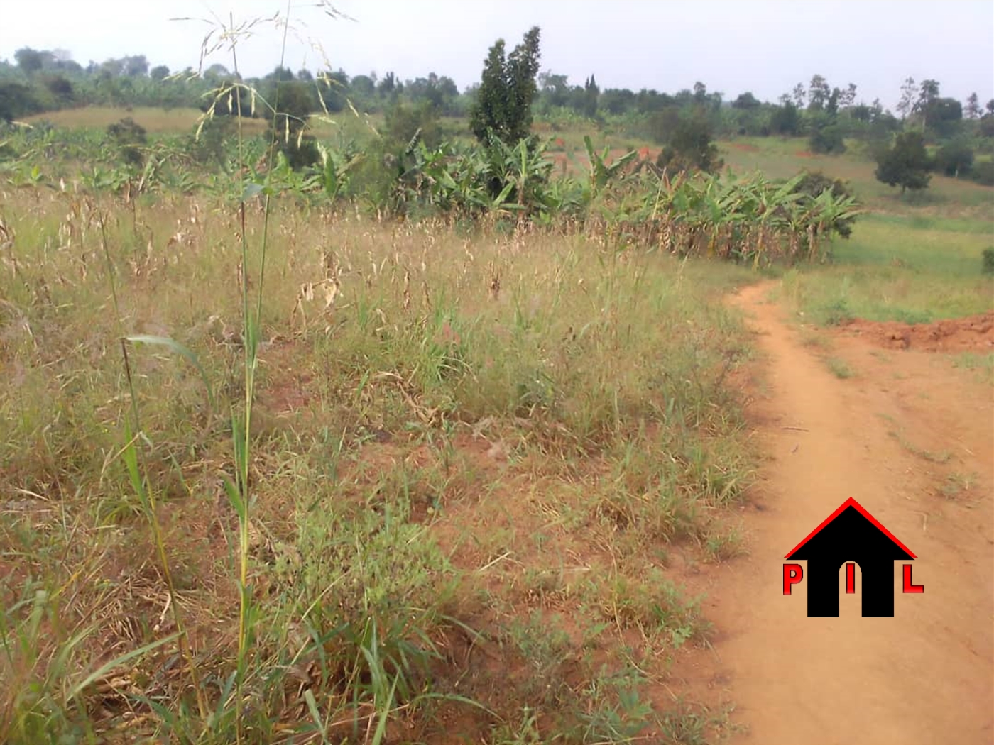 Agricultural Land for sale in Bulesa Gomba