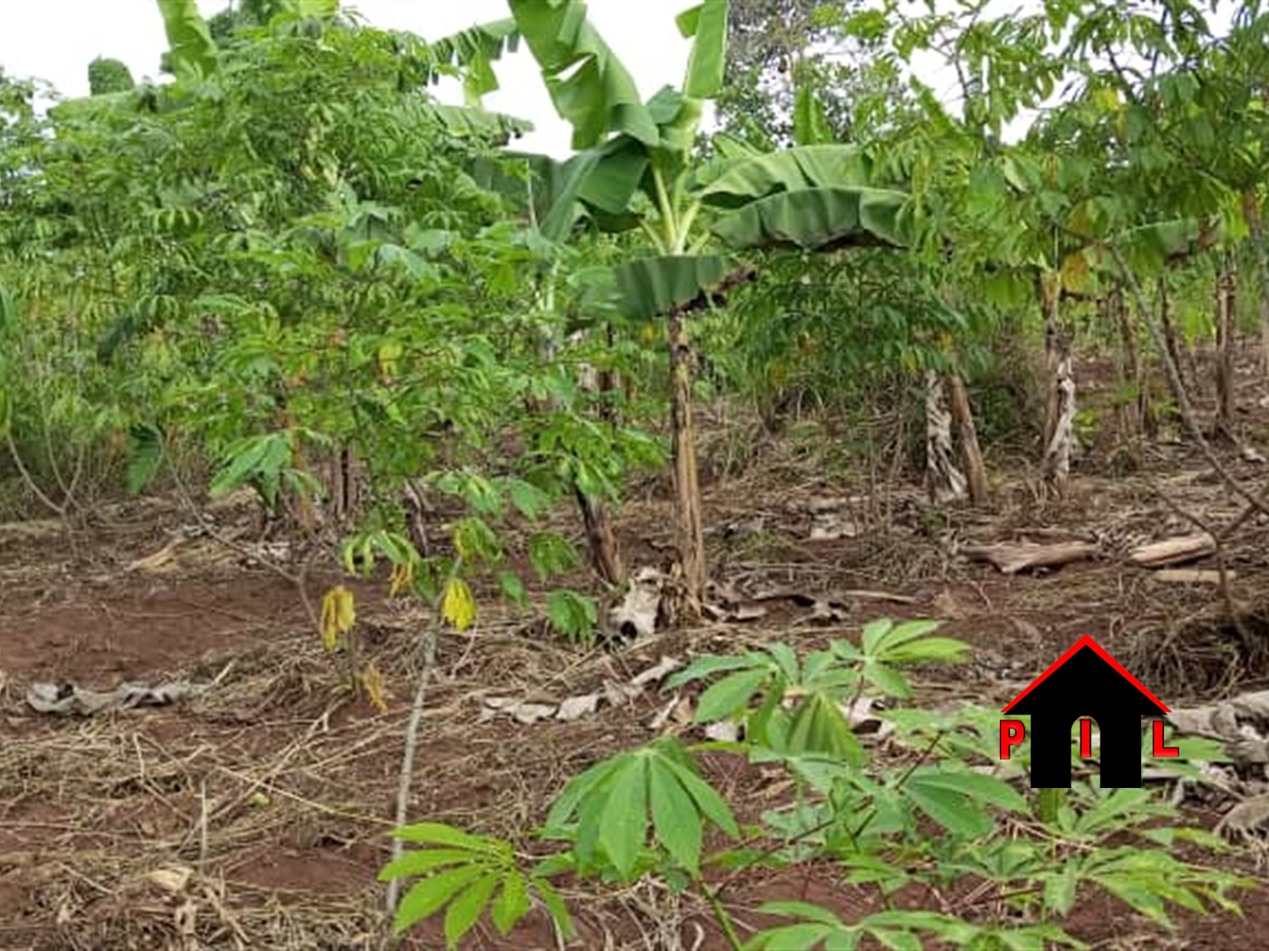 Residential Land for sale in Matugga Wakiso