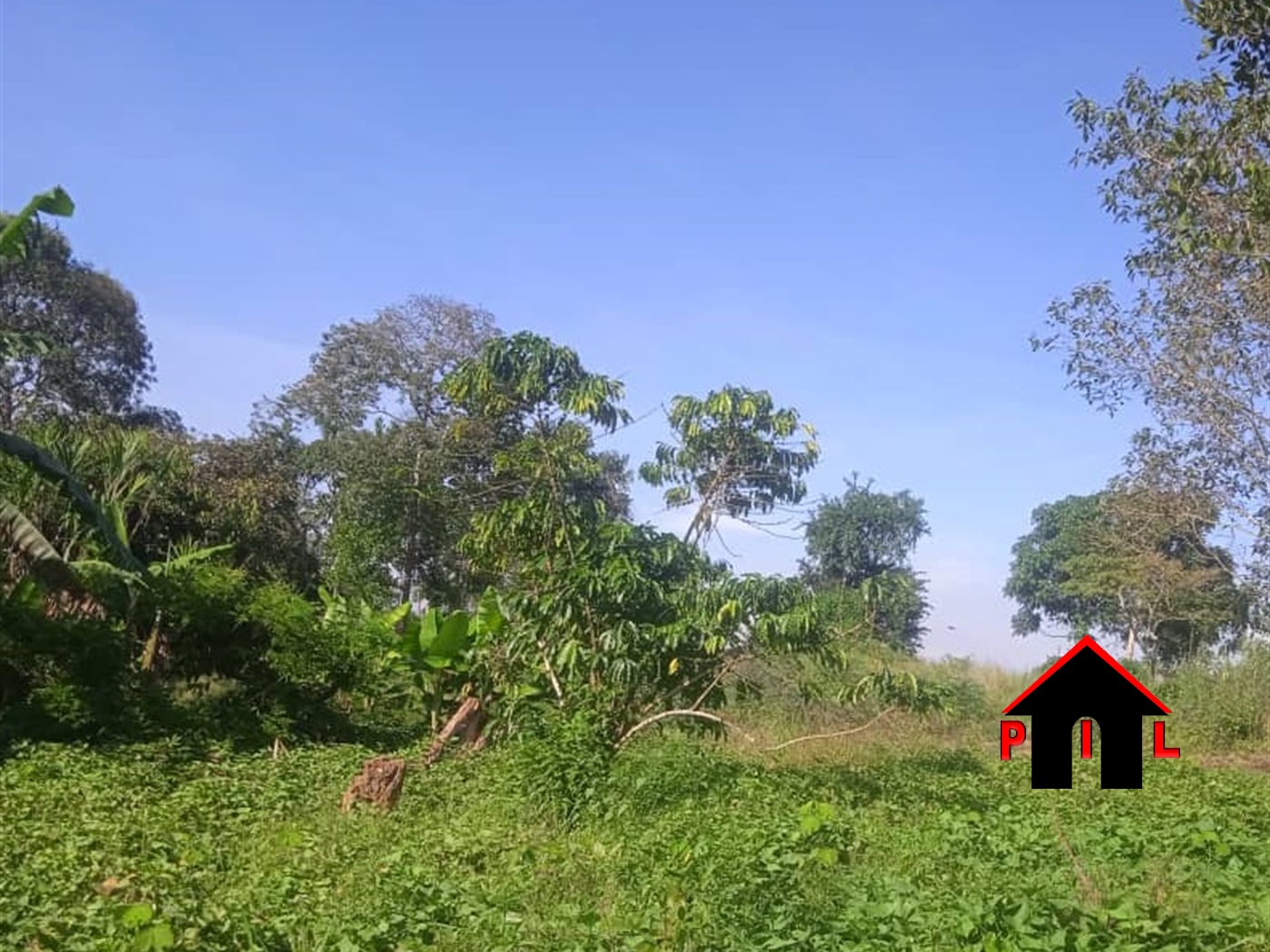 Commercial Land for sale in Lungala Mpigi