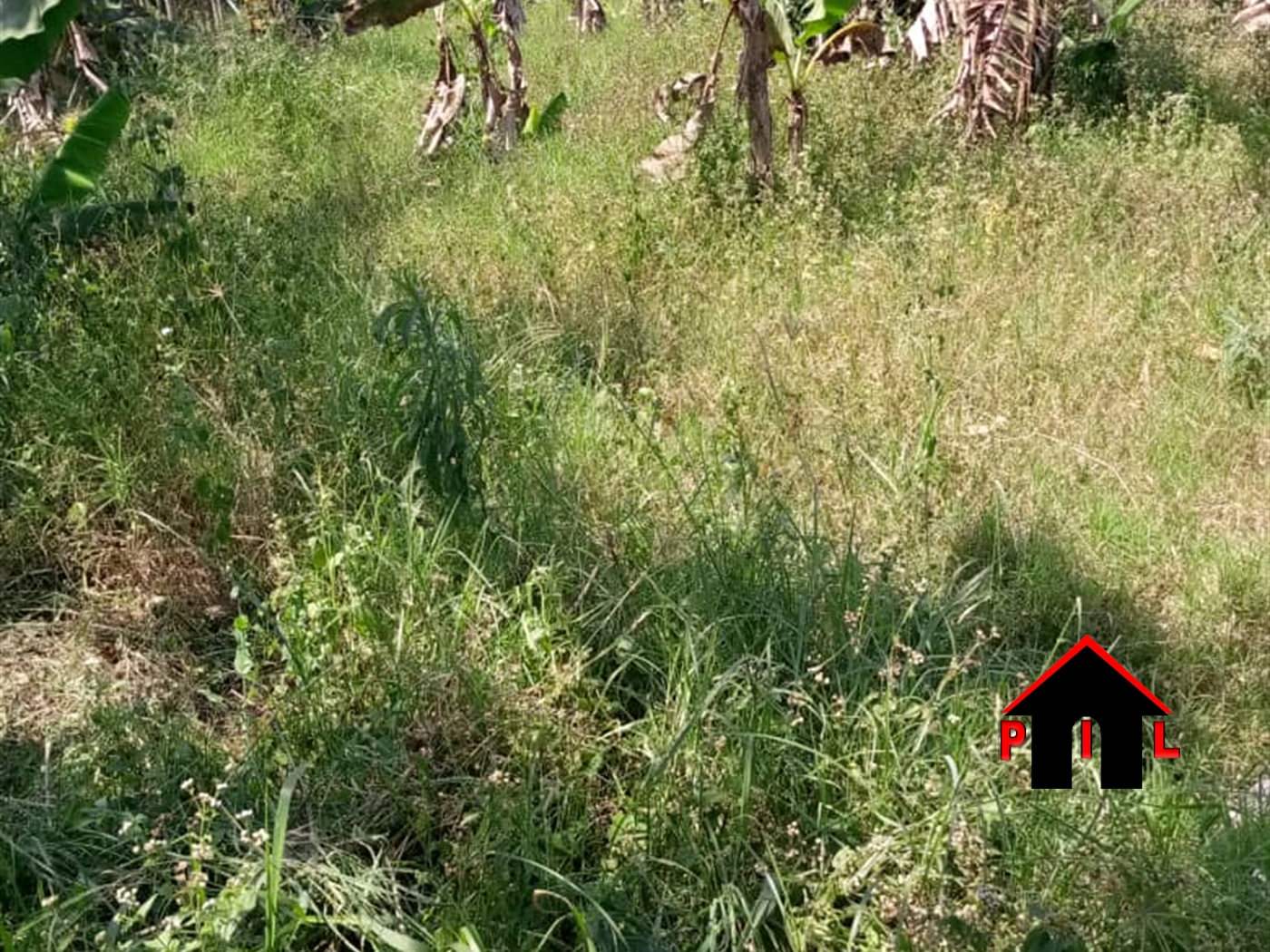 Agricultural Land for sale in Nazareth Wakiso