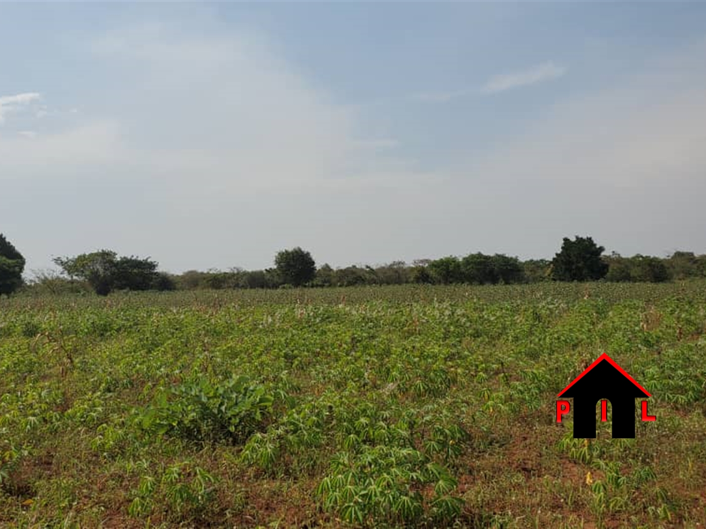 Agricultural Land for sale in Bamugolodde Luweero