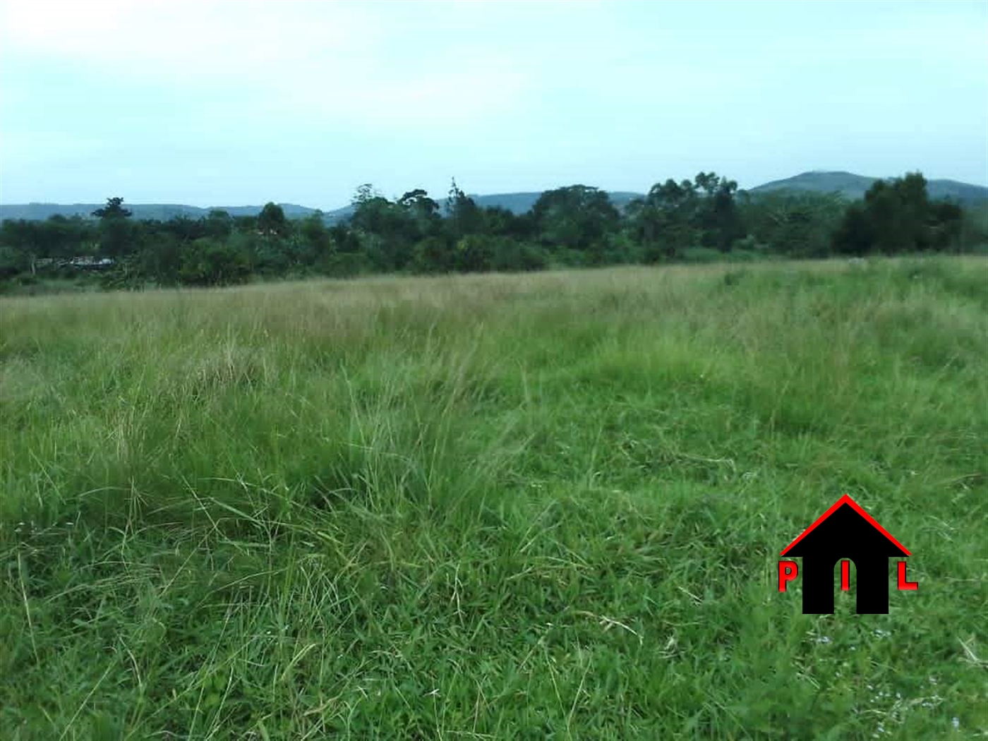 Agricultural Land for sale in Bulemenzi Luweero