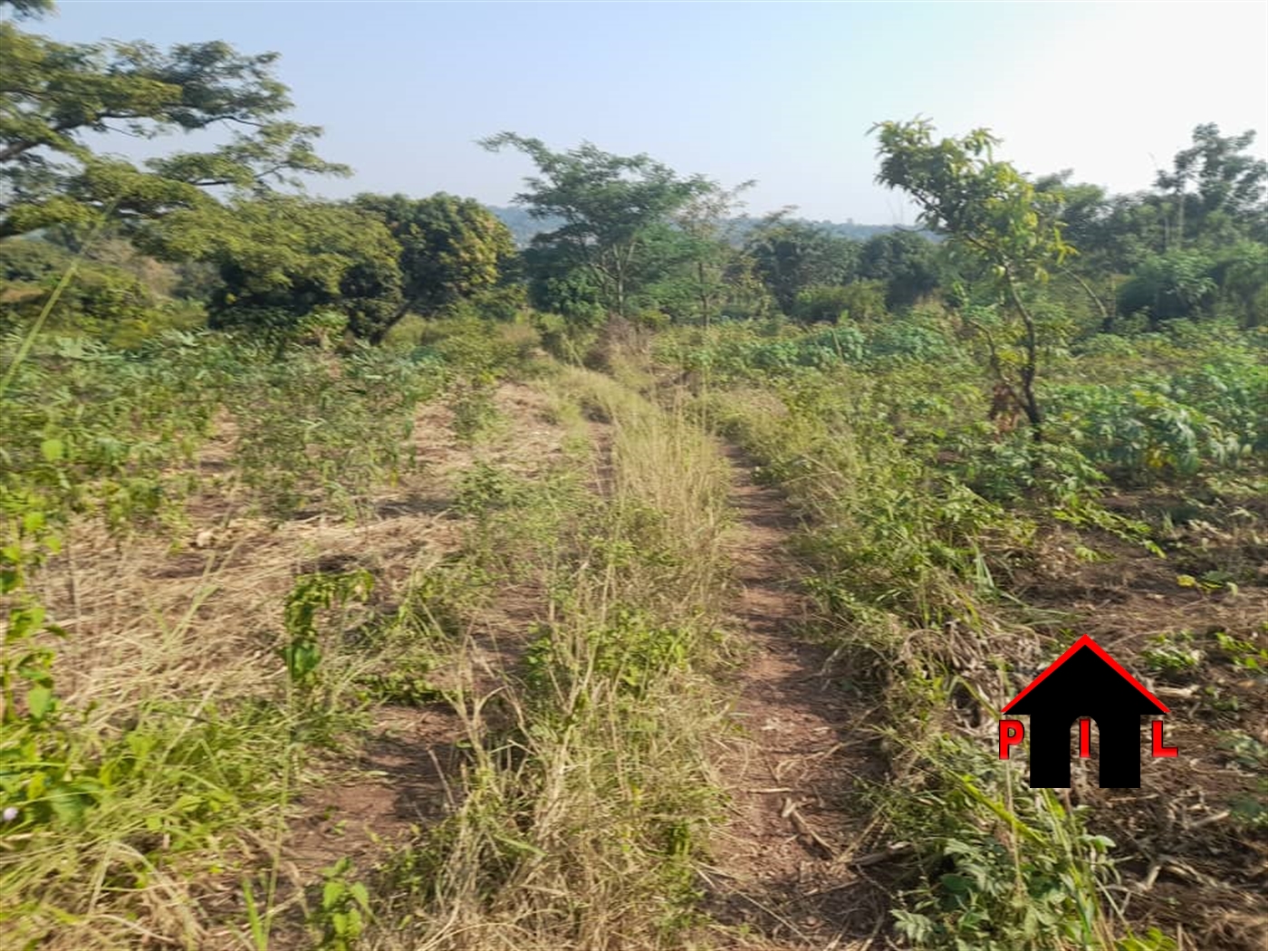 Agricultural Land for sale in Bamunanika Luweero
