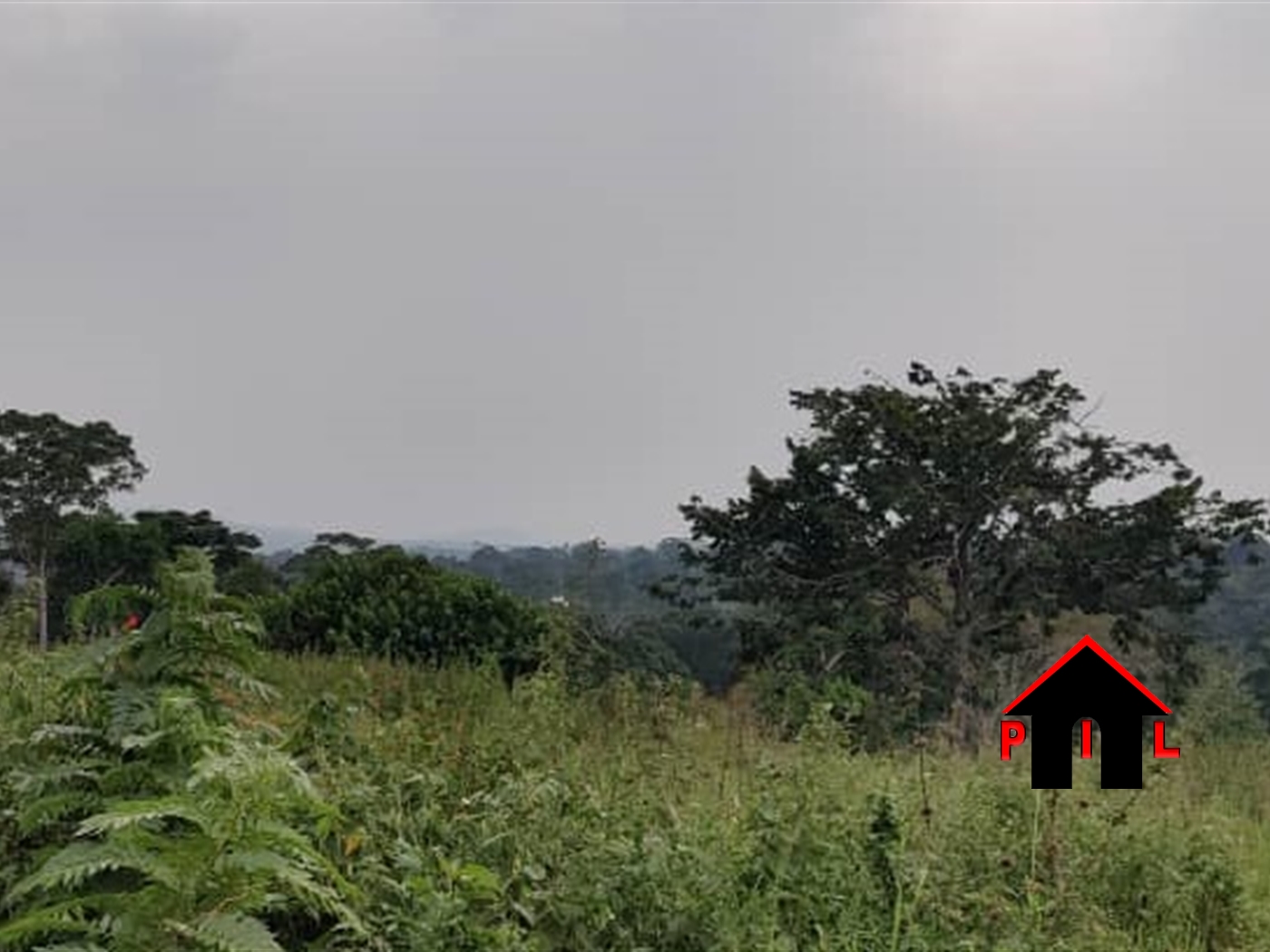 Agricultural Land for sale in Nakosi Mukono