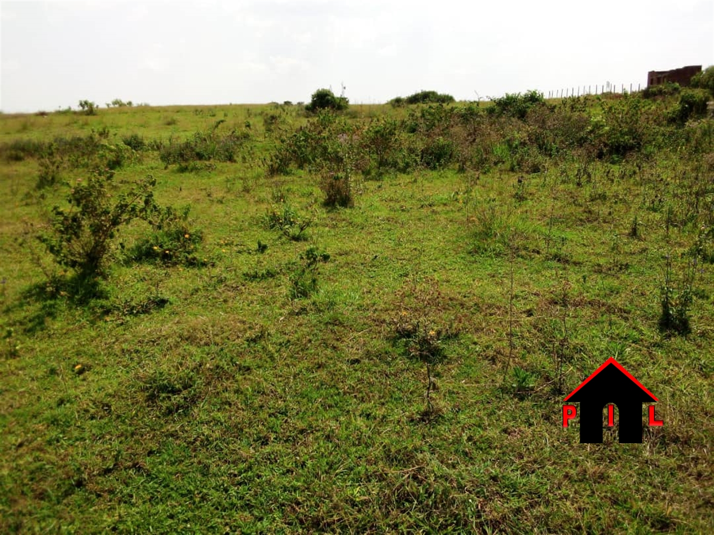 Commercial Land for sale in Kalumba Mpigi