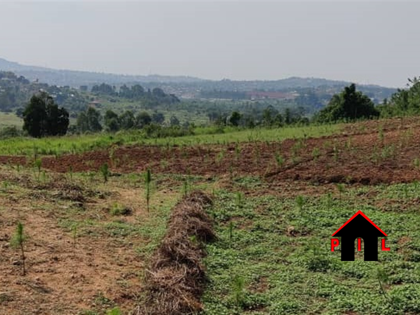Commercial Land for sale in Nangwa Mukono