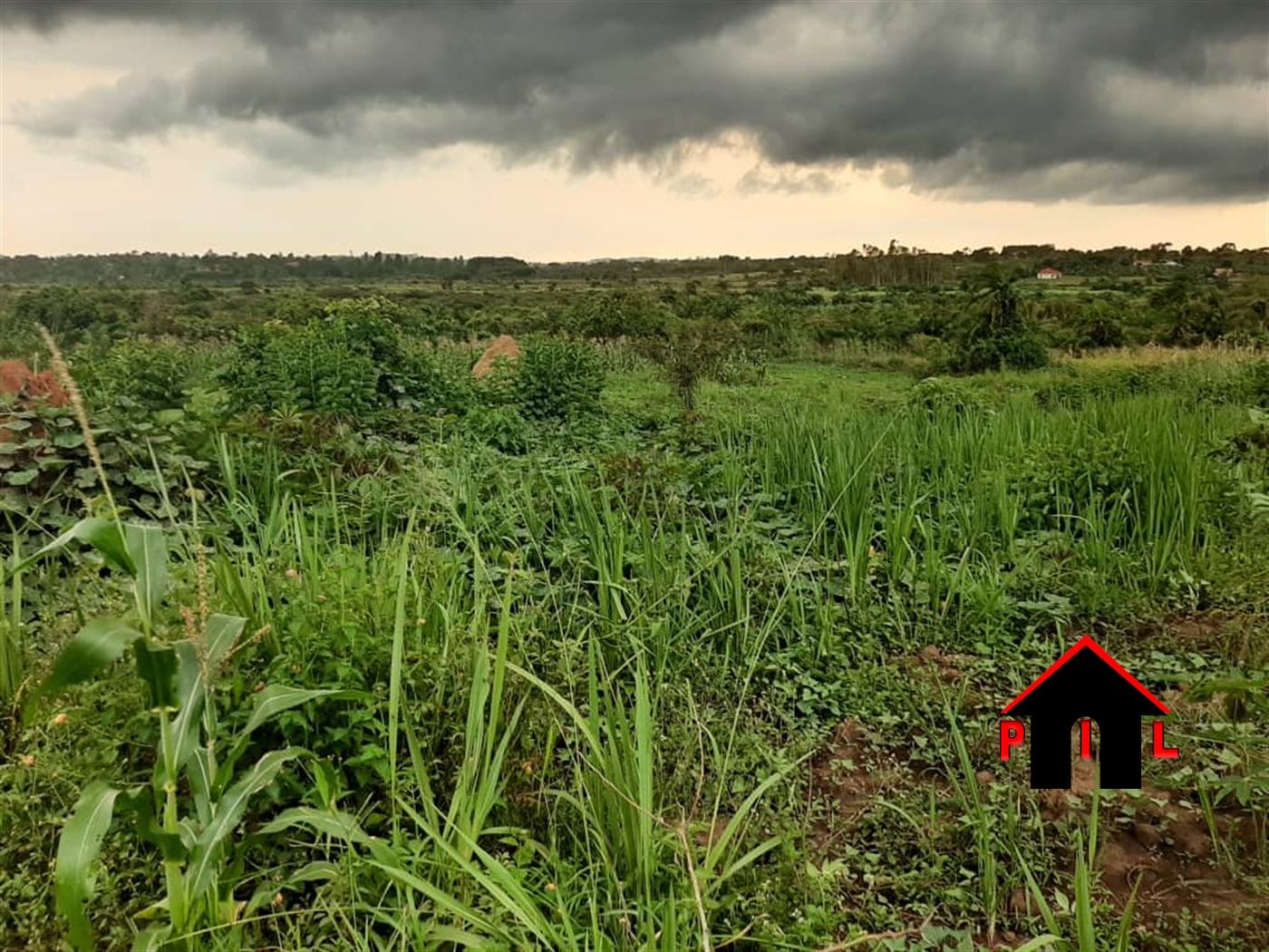 Agricultural Land for sale in Busiika Luweero