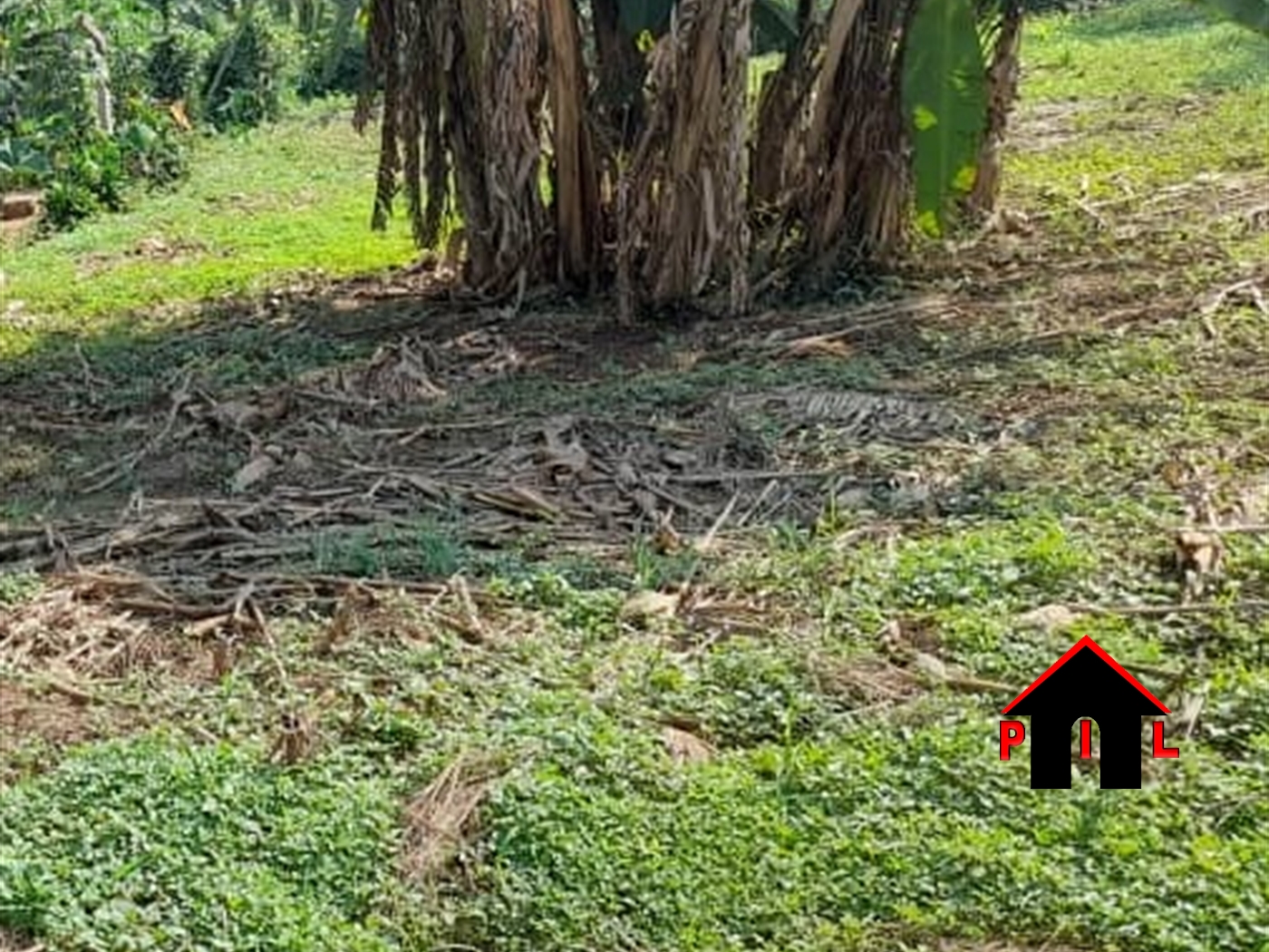 Agricultural Land for sale in Katebe Mbarara
