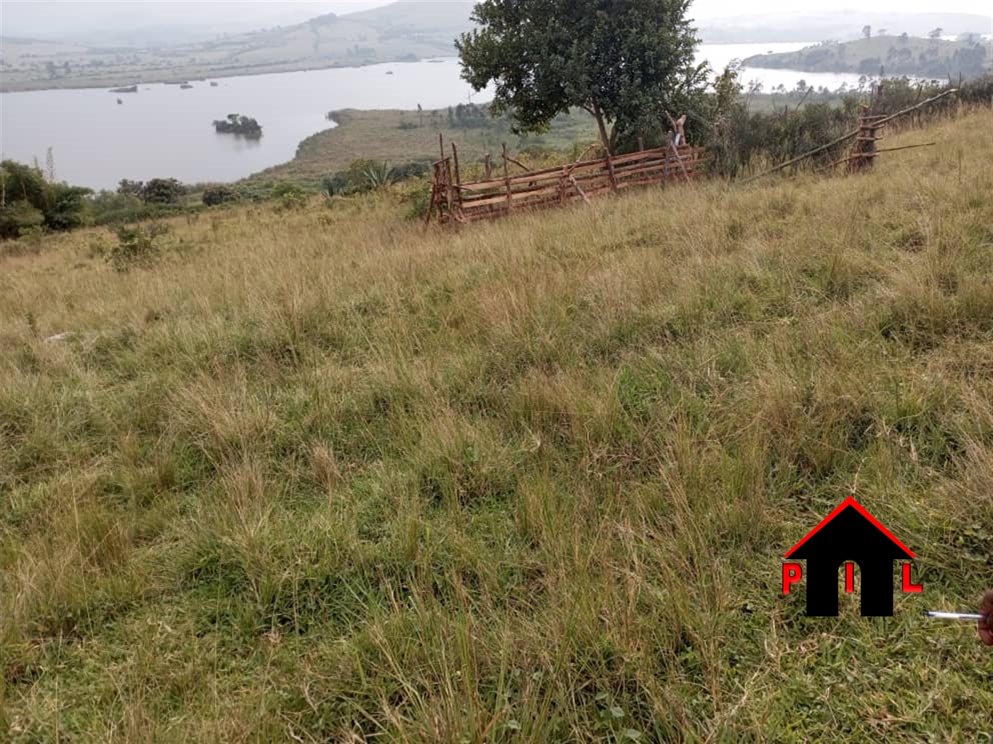 Agricultural Land for sale in Nyabihoko Ntungamo