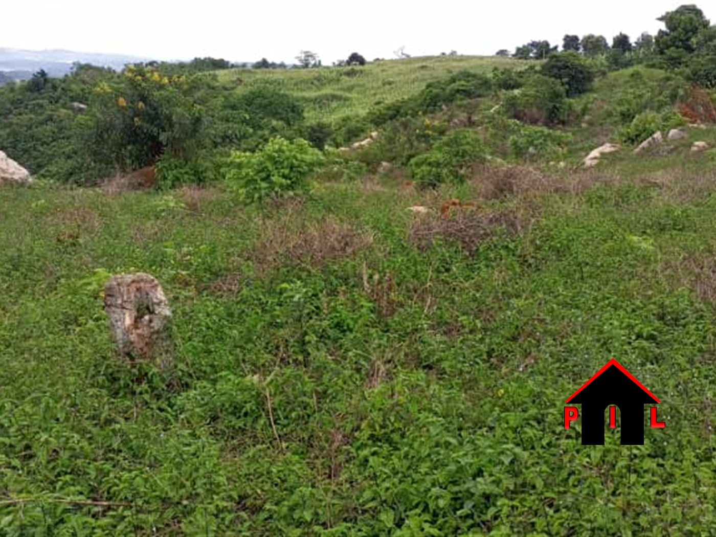 Commercial Land for sale in Namutamba Mityana