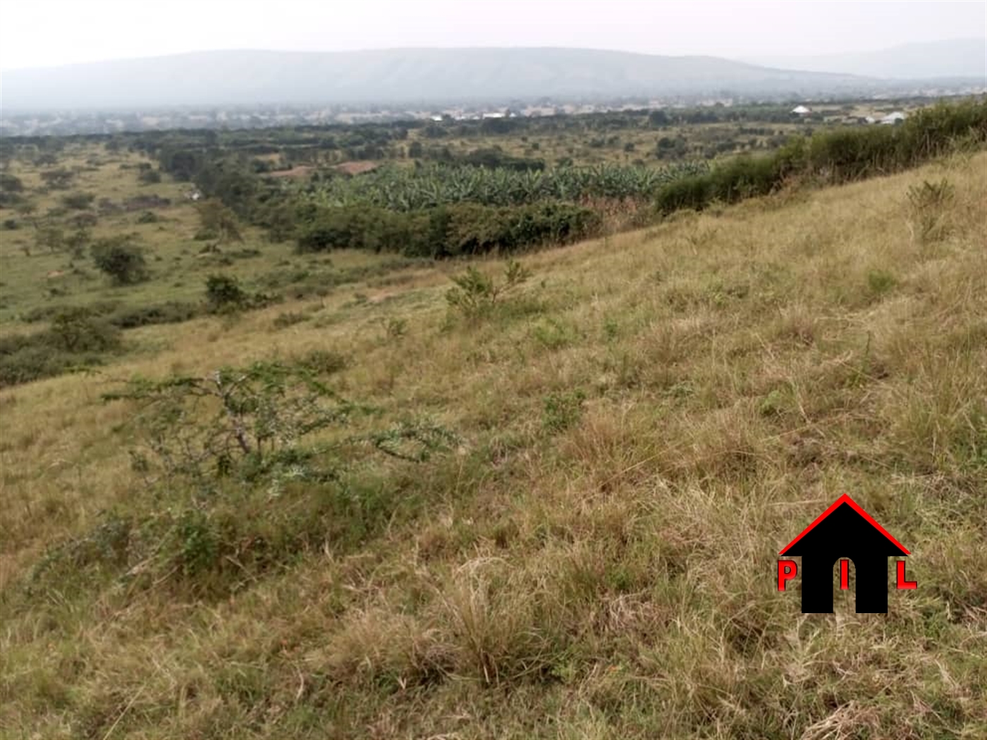 Farm for sale in Nshenyi Ntungamo