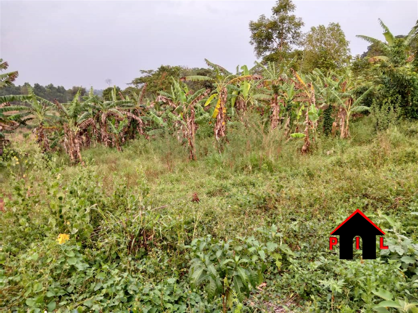 Agricultural Land for sale in Bombo Luweero