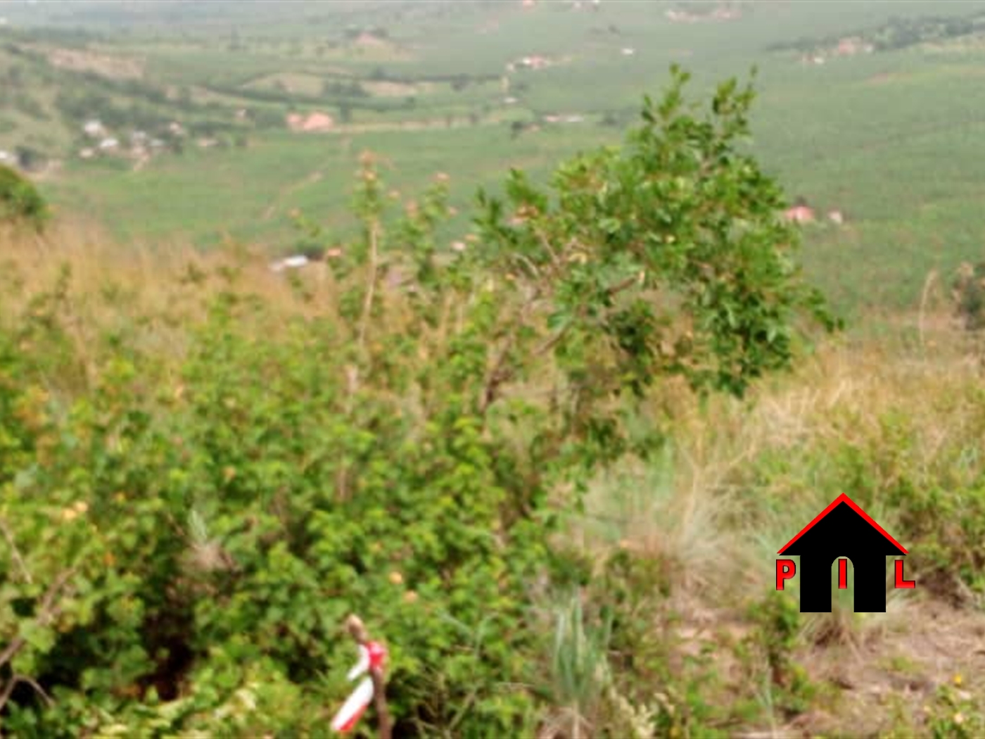 Residential Land for sale in Nyabuhama Mbarara
