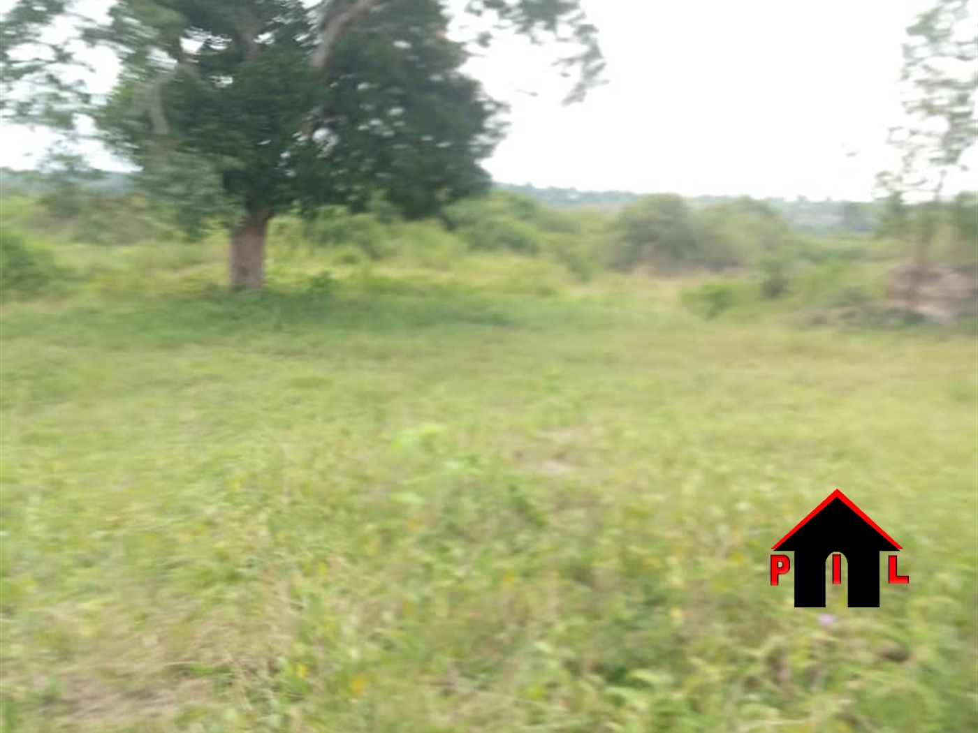 Agricultural Land for sale in Kifamba Gomba