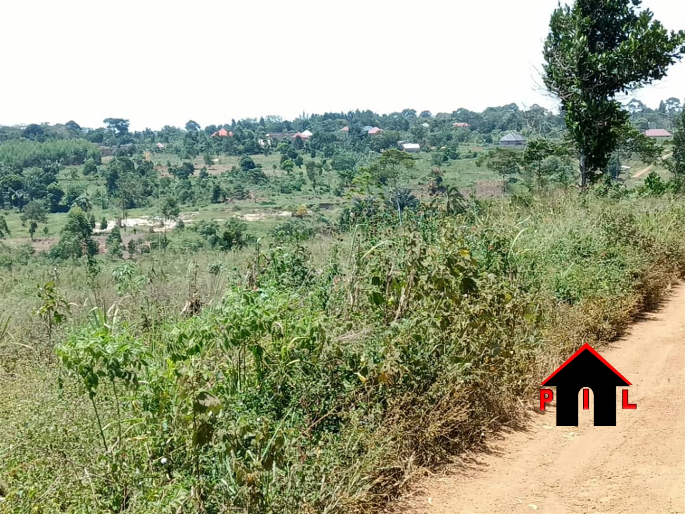 Commercial Land for sale in Namayiba Mukono