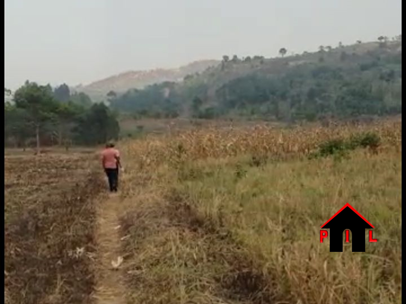 Agricultural Land for sale in Bulindi Hoima