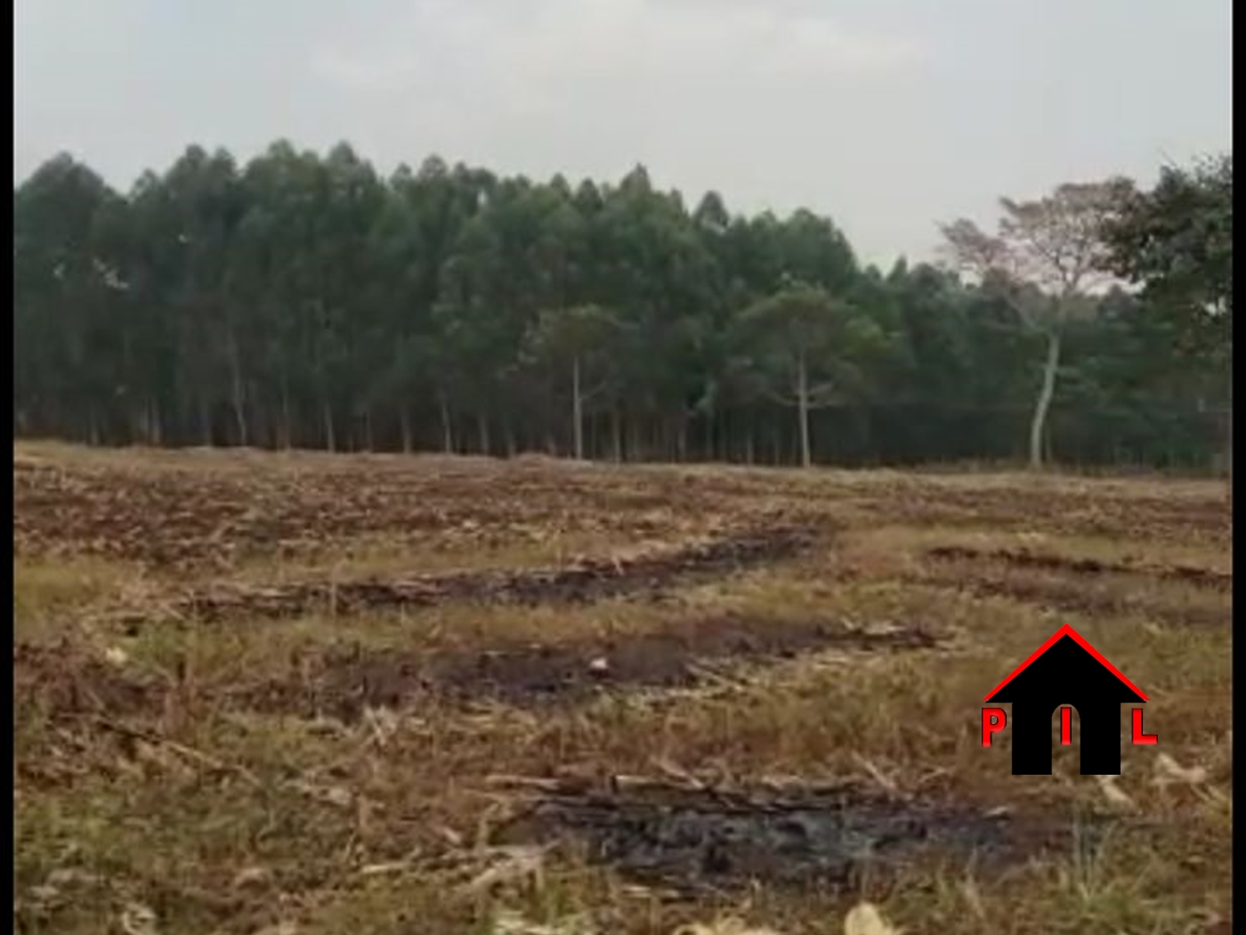 Agricultural Land for sale in Bulindi Hoima