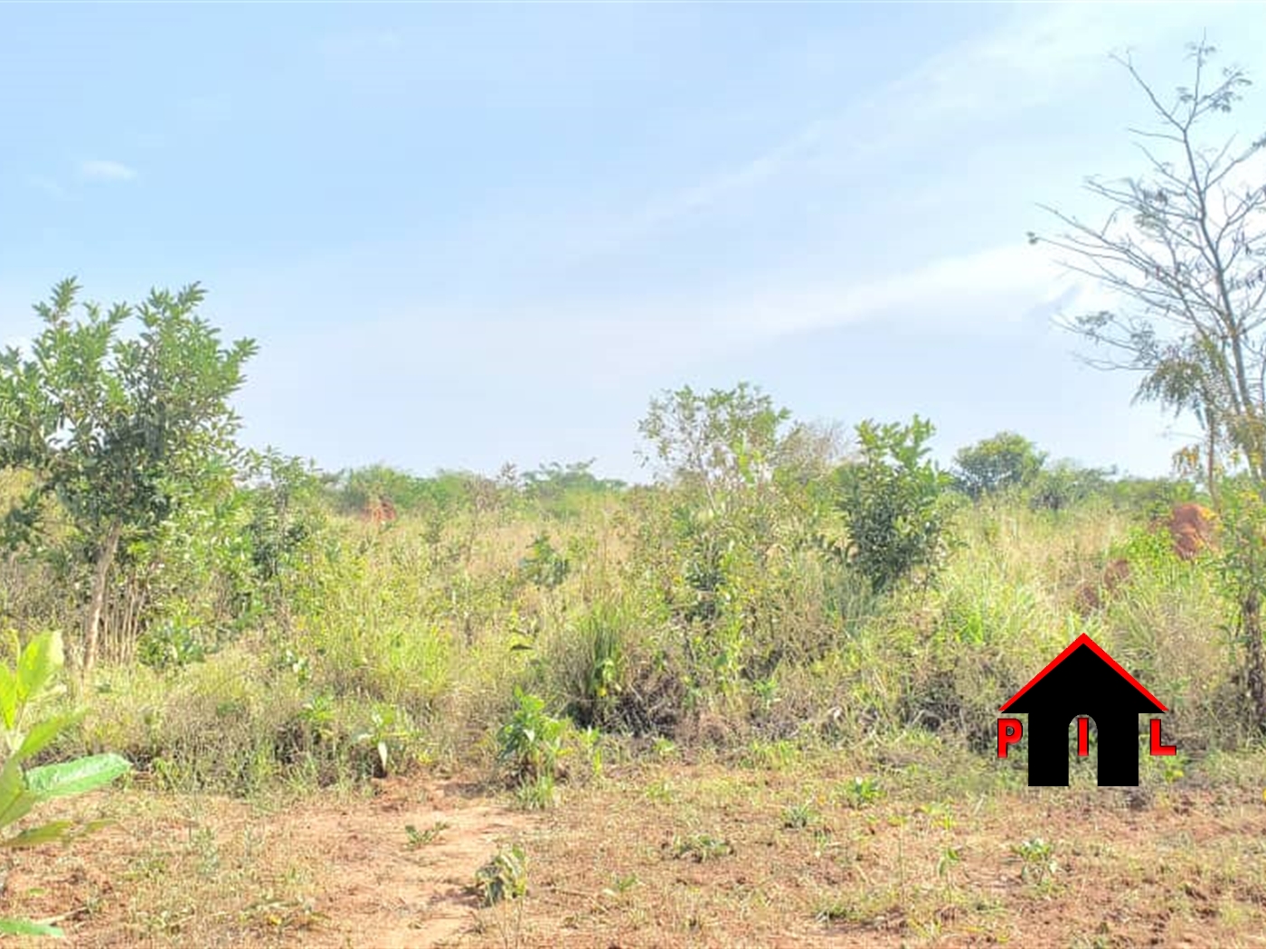 Agricultural Land for sale in Guluka Nakasongola