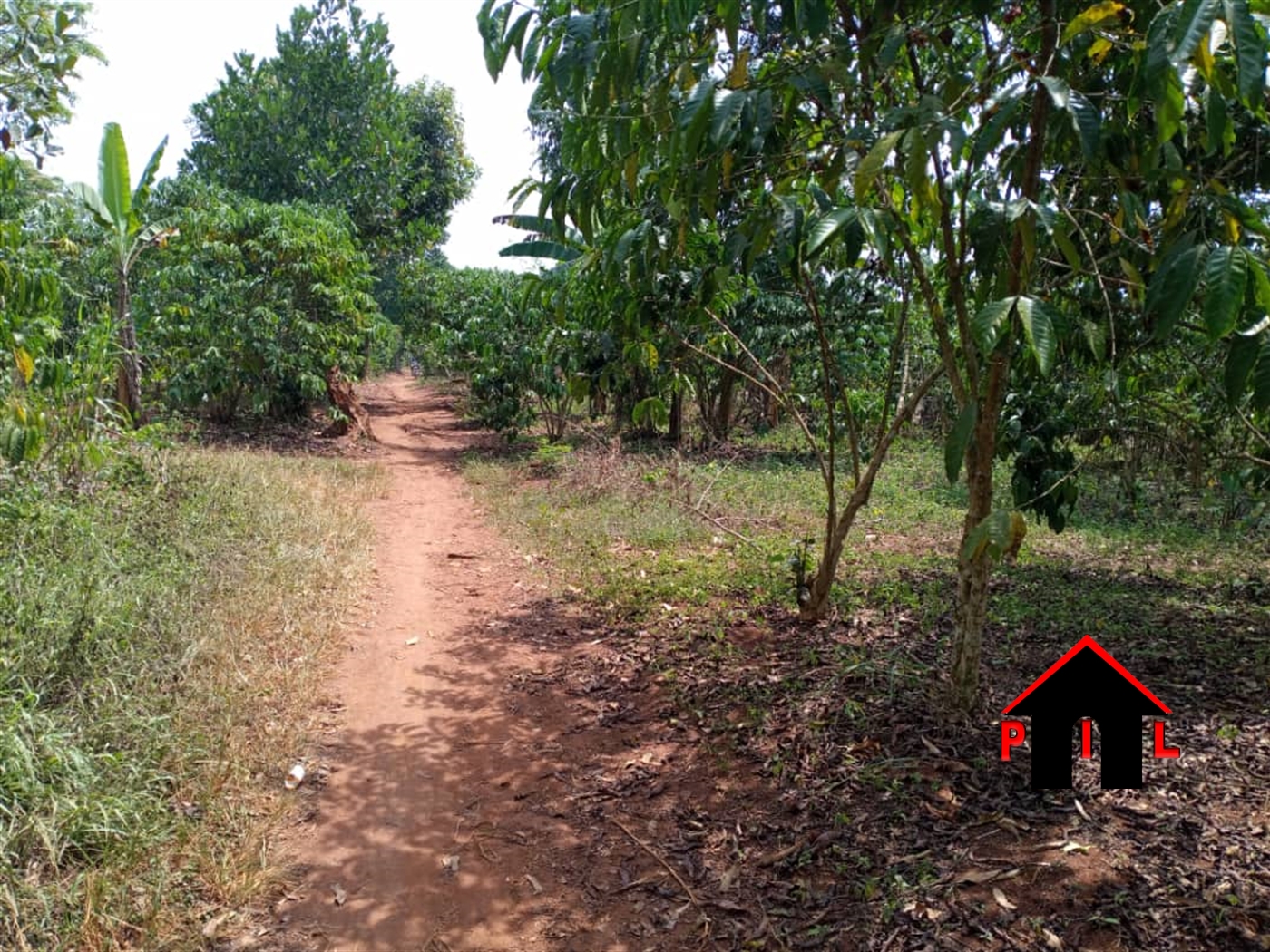 Agricultural Land for sale in Wobulenzi Luweero