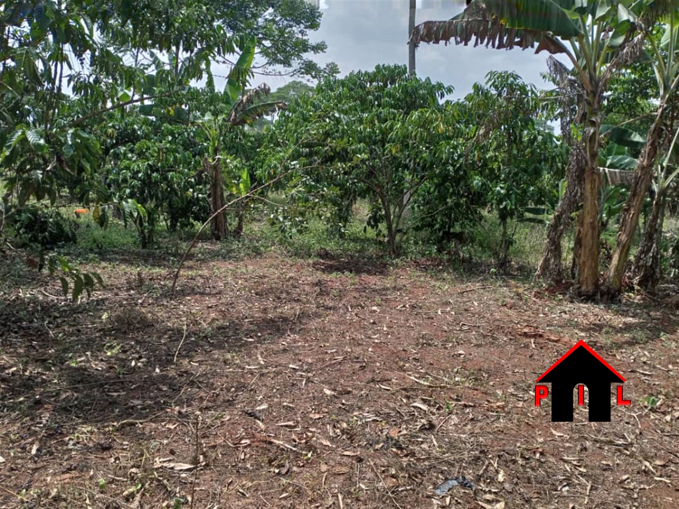 Agricultural Land for sale in Wobulenzi Luweero