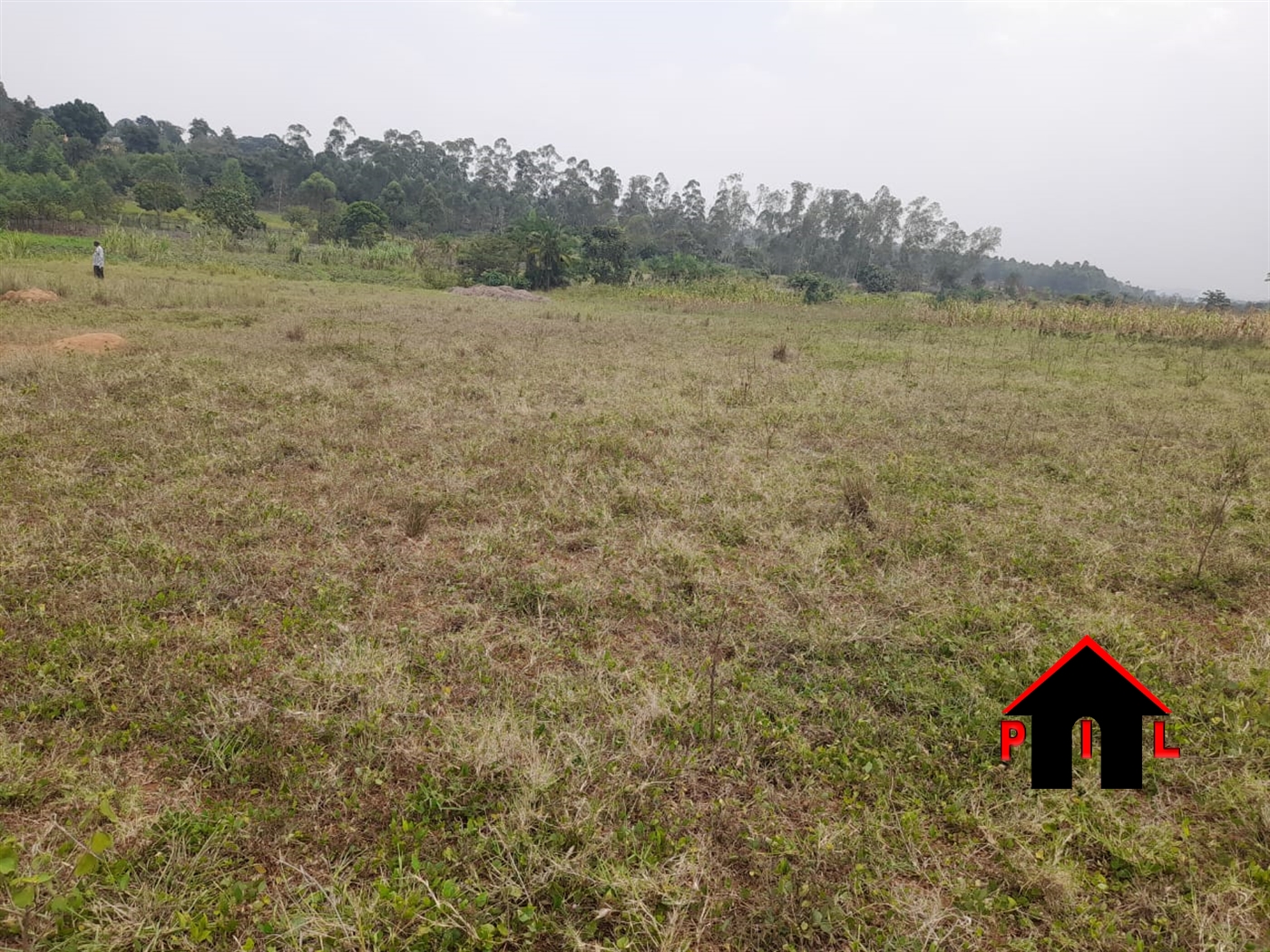 Residential Land for sale in Gayaza Wakiso