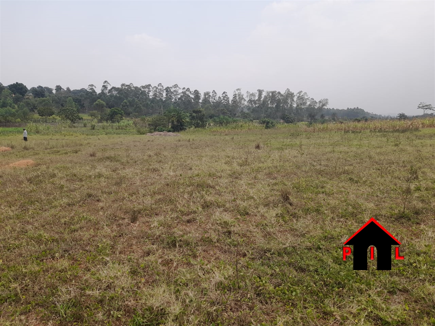 Residential Land for sale in Gayaza Wakiso