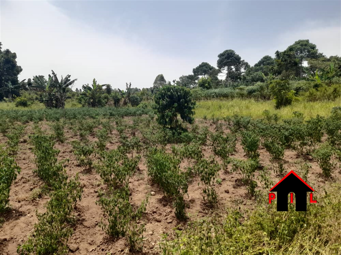 Residential Land for sale in Gayaza Wakiso