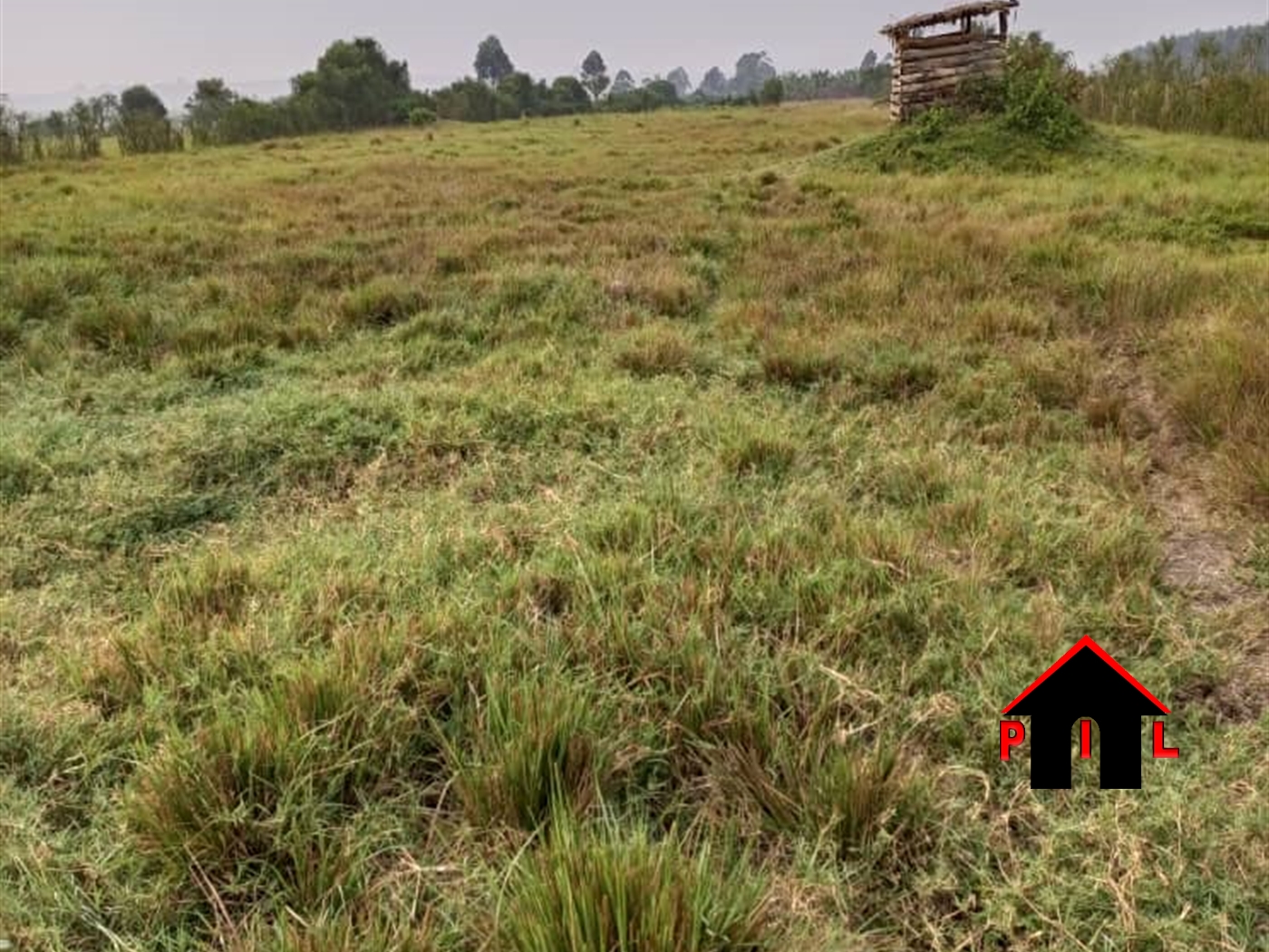 Agricultural Land for sale in Kabungo Ntungamo