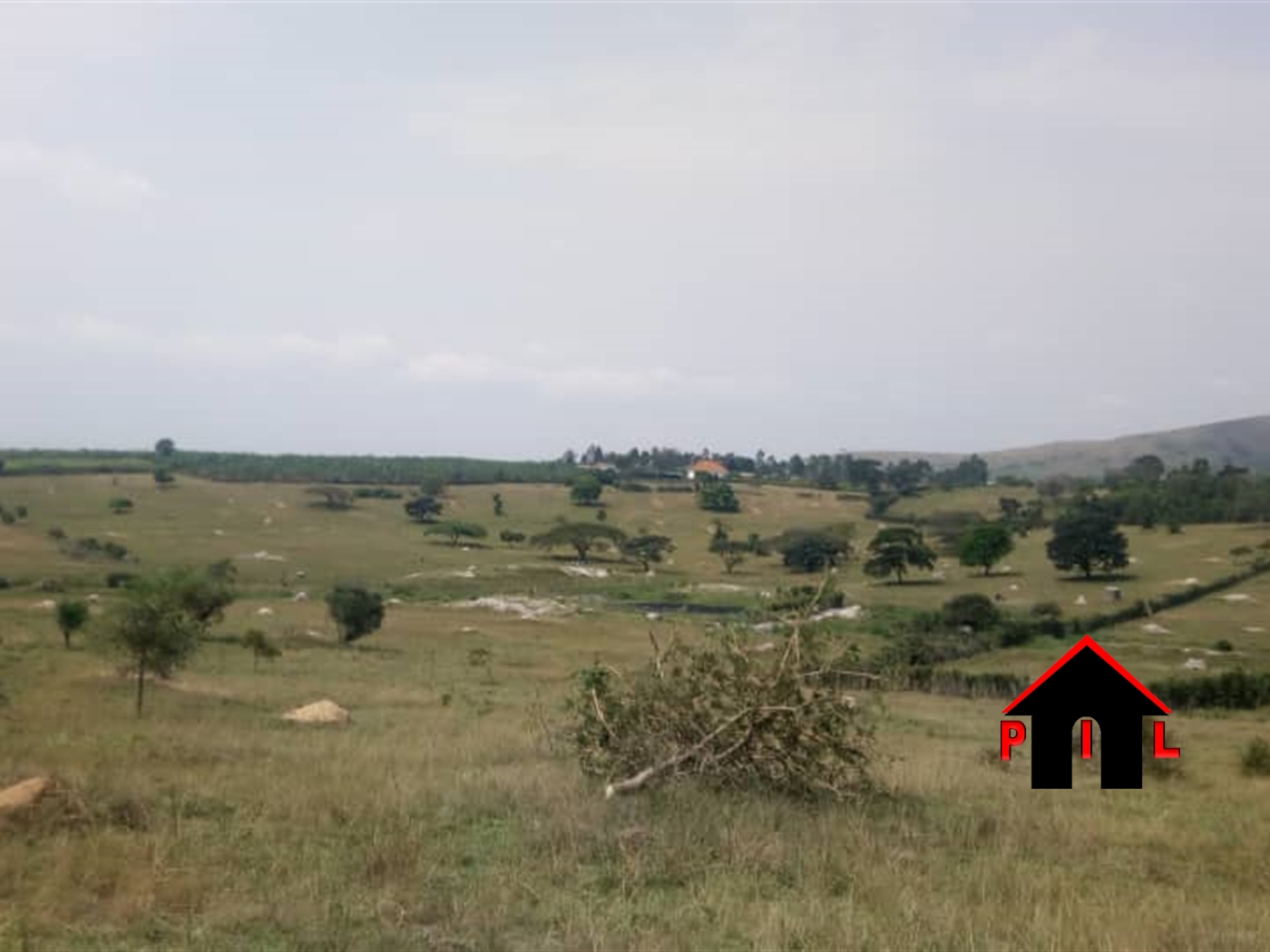 Farm for sale in Rubuya Mbarara