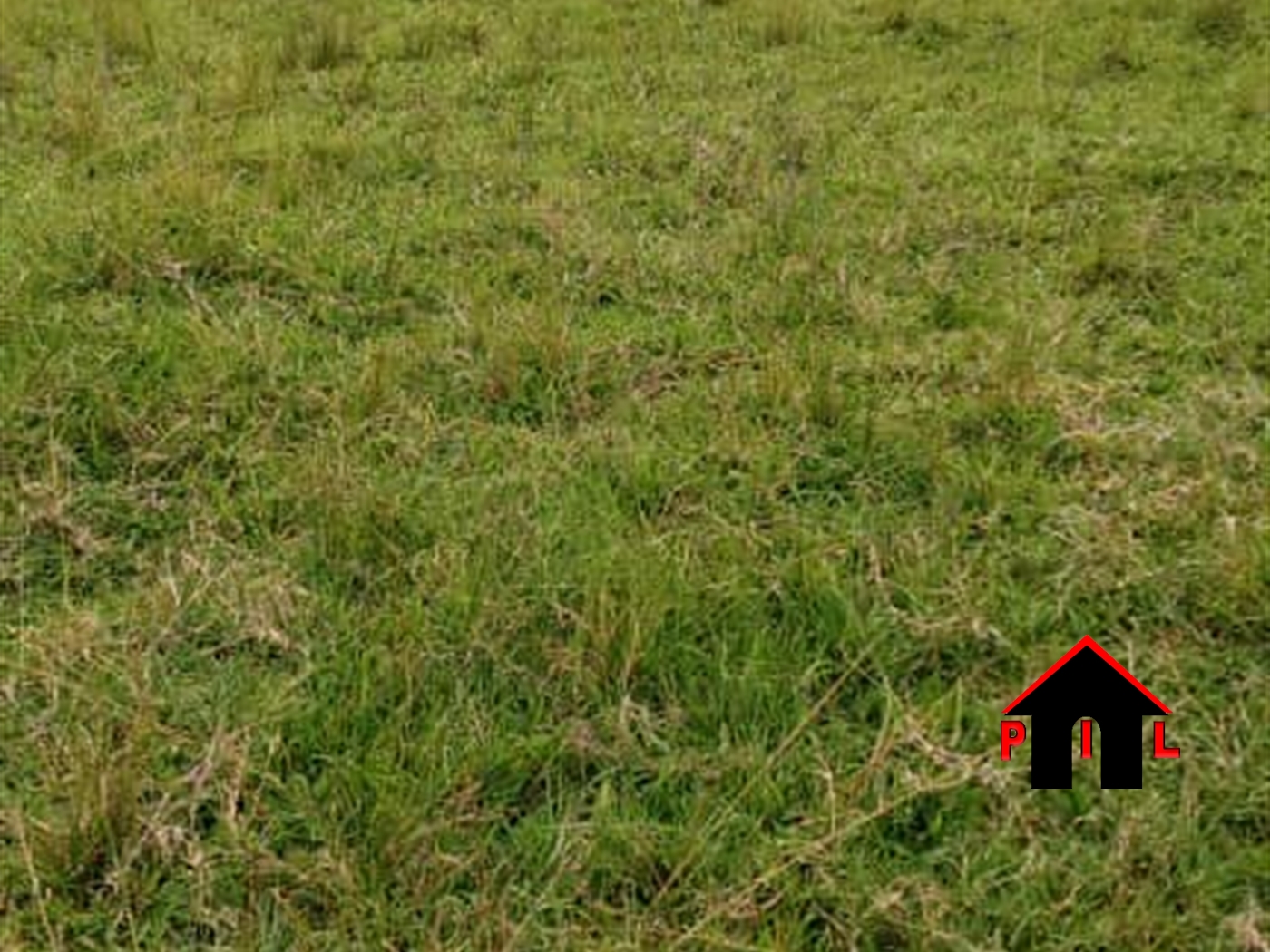 Agricultural Land for sale in Bwizibwera Mbarara