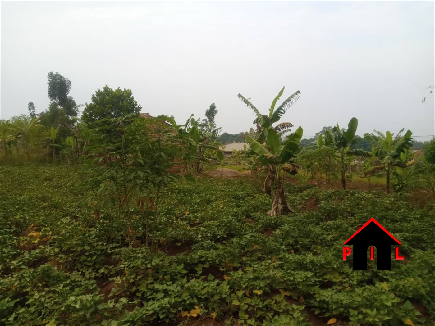 Commercial Land for sale in Kalasa Luweero