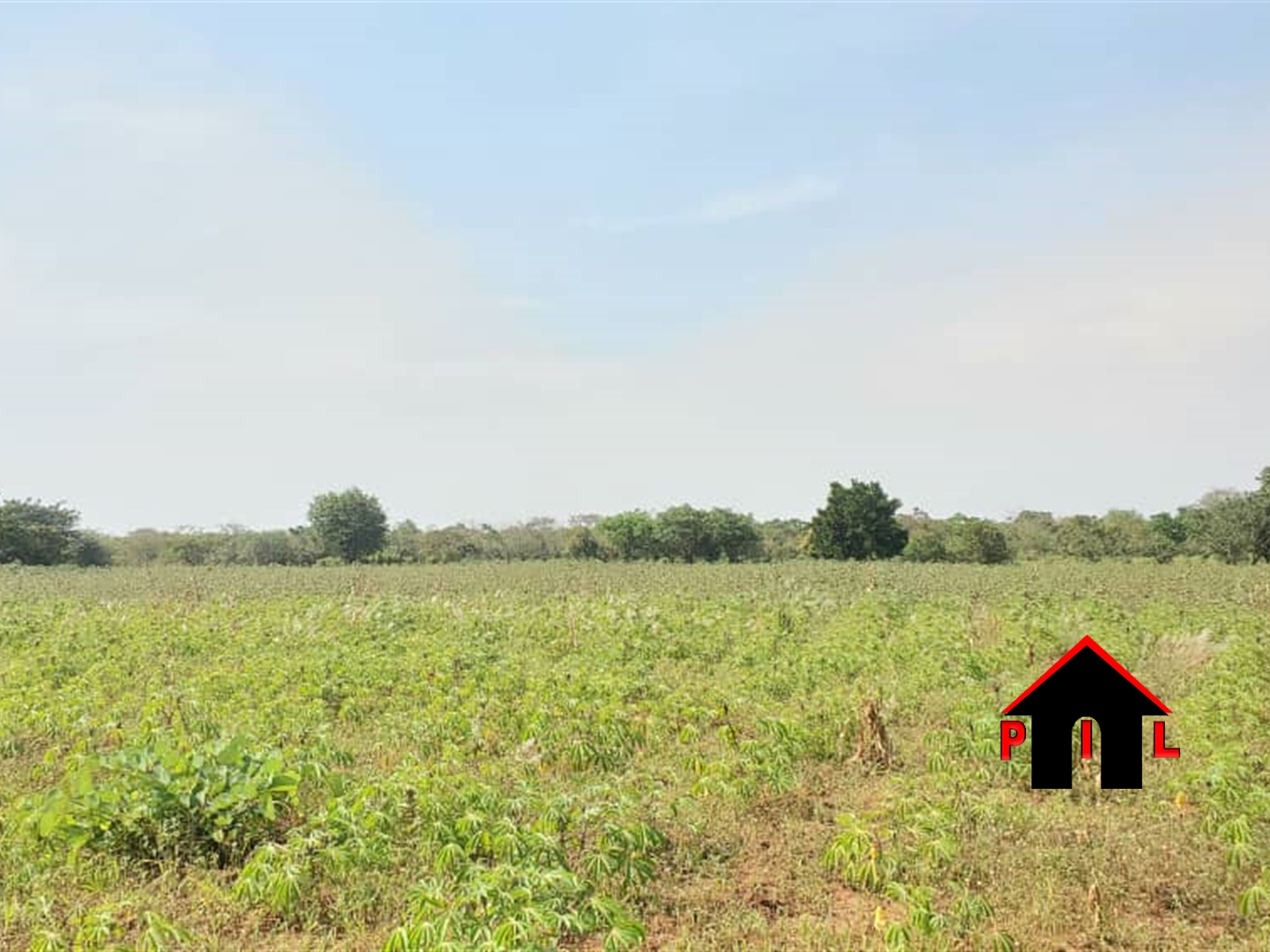 Agricultural Land for sale in Bamugolodde Luweero