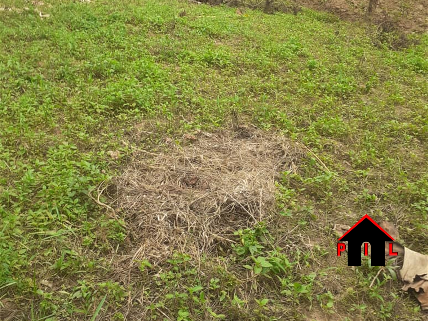 Commercial Land for sale in Nakaabayo Mukono