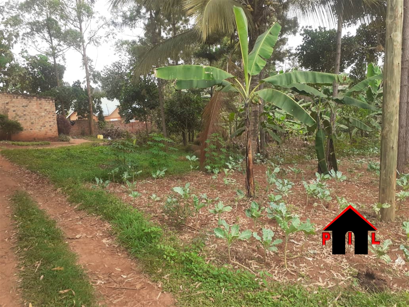 Commercial Land for sale in Nakaabayo Mukono