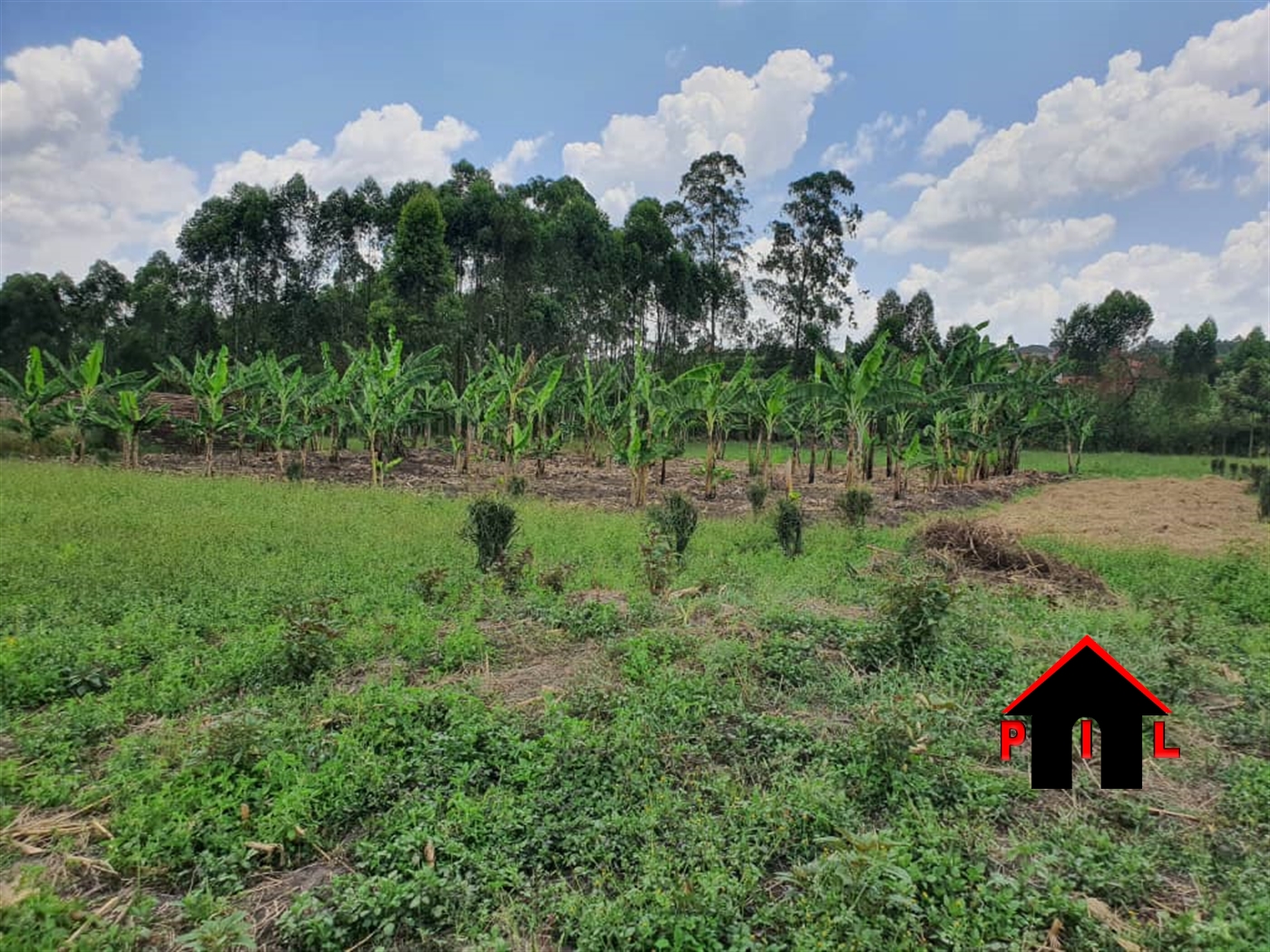 Residential Land for sale in Rwobuyenje Mbarara