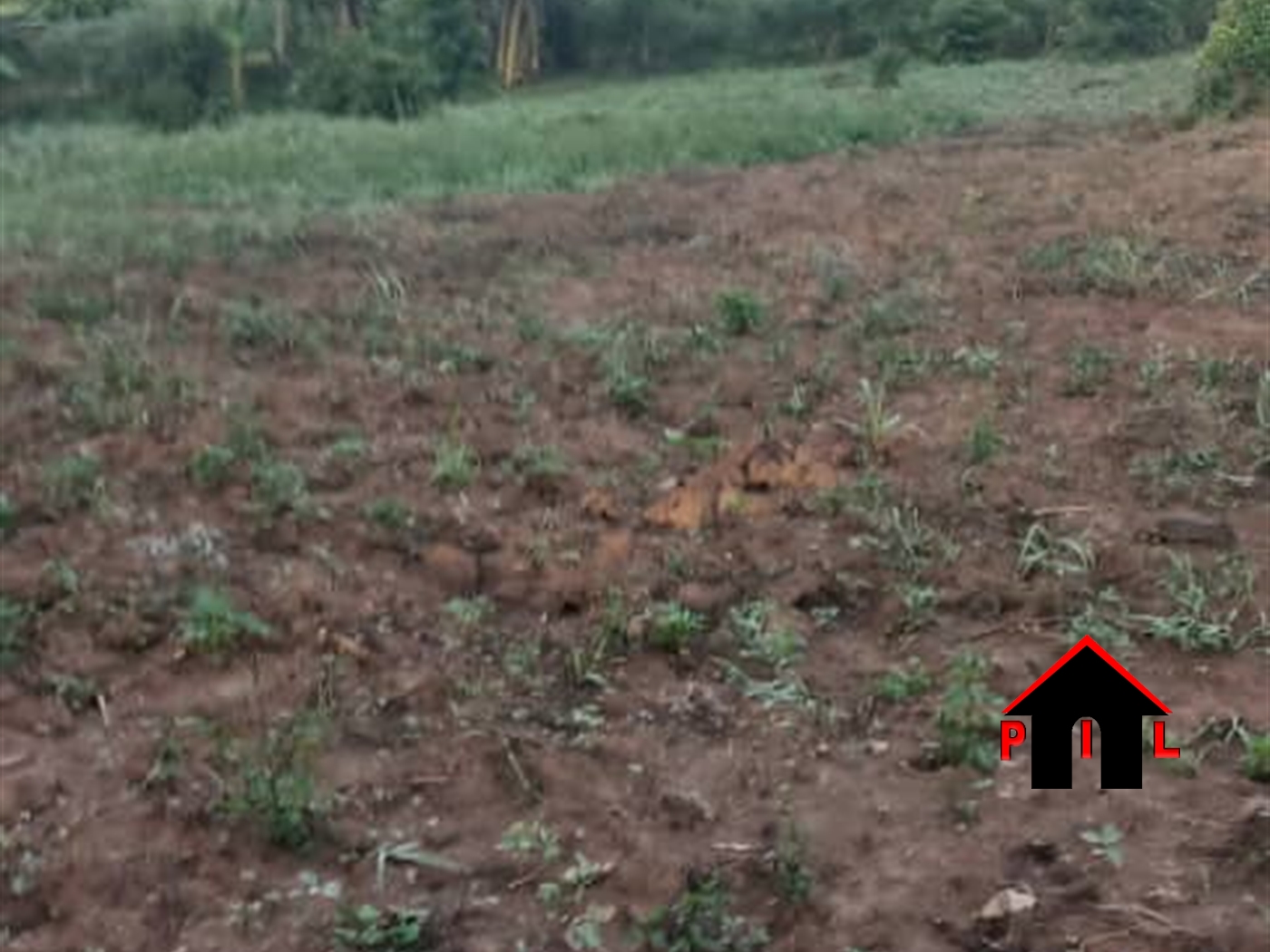 Commercial Land for sale in Nama Mukono